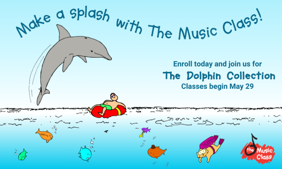 Dolphin session