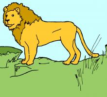 A Lion
