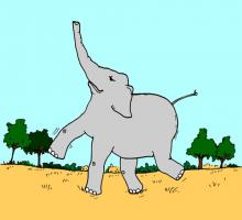Elephant