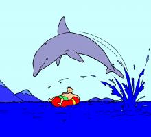  Little Dolphin
