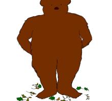 Bear Feet
