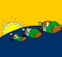 When Ducks Wake Up