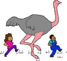 Ostrich Walk
