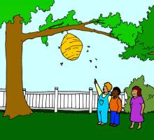  Here is the Beehive