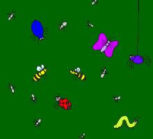 Bugs