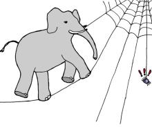 Elephants on the Web Tonal Patterns