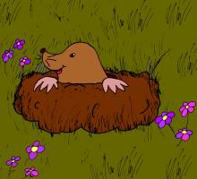 Mole in the Ground